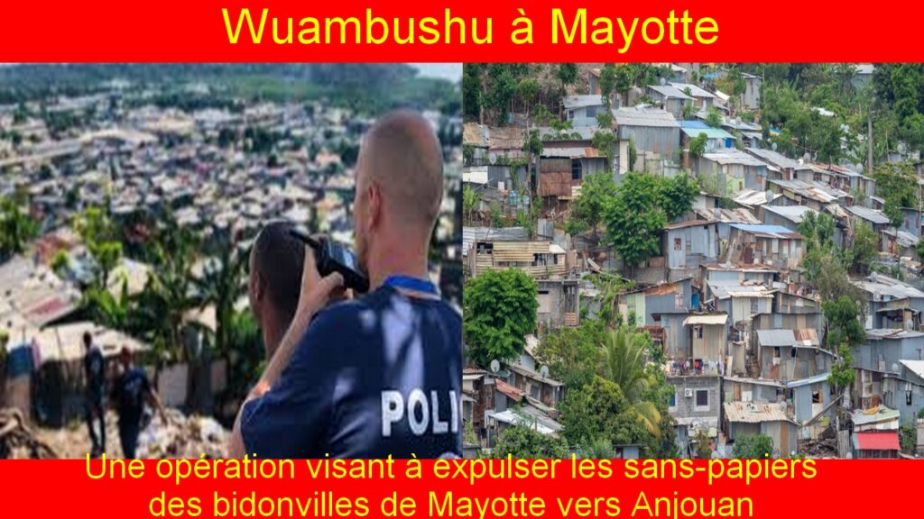 L'opération « Wuambushu » à Mayotte : Qu'en savons -nous ?