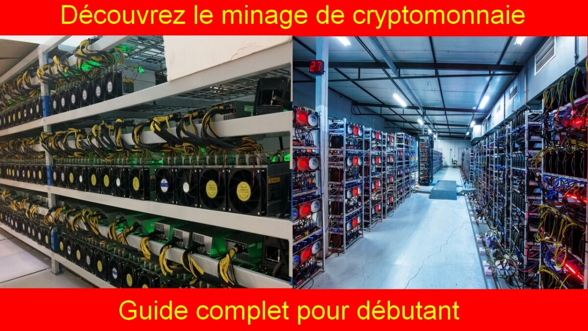 normand brathwaite cryptomonnaie