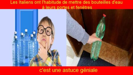 Les Italiens ont l'habitude de mettre des bouteilles d'eau à leurs portes et fenêtres, c'est une astuce géniale !