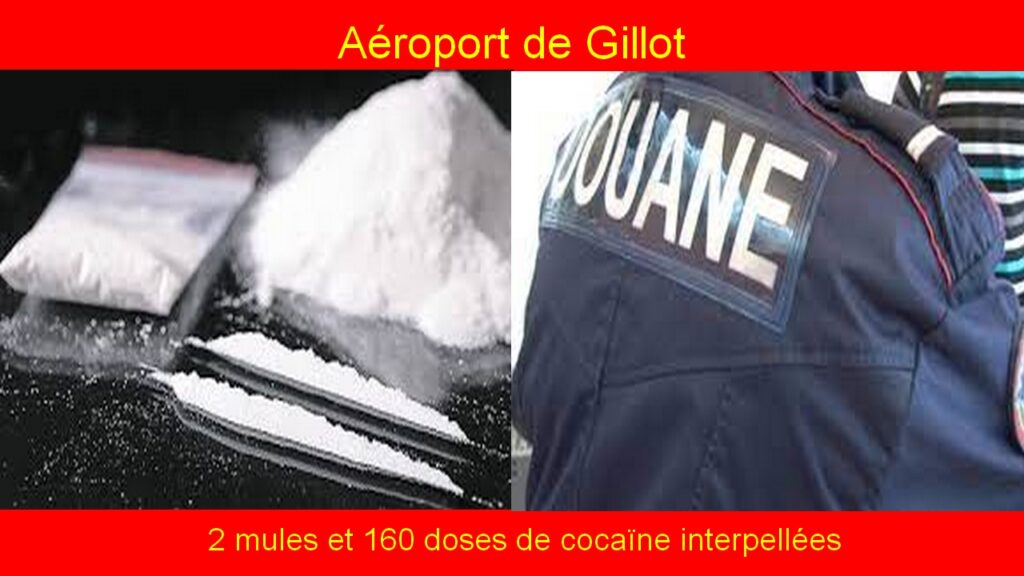 Aéroport de Gillot : 2 mules et 160 doses de cocaïne interpellées