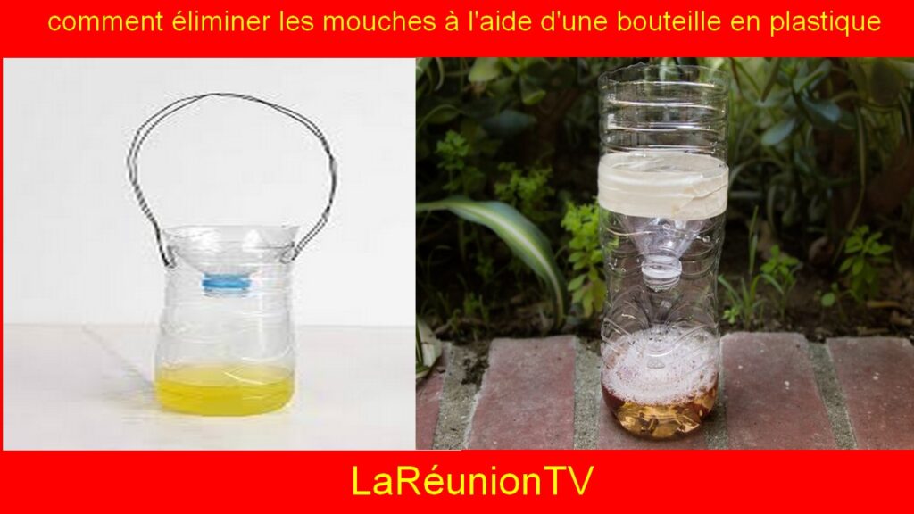 Fini les mouches : comment éliminer les mouches à l'aide d'une bouteille en plastique!