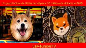 Le plus grand holder de Shiba Inu déplace 30 millions de dollars de SHIB