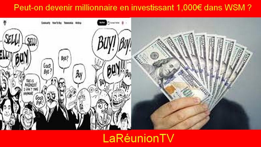 Peut-on devenir millionnaire en investissant 1,000€ dans WSM ?